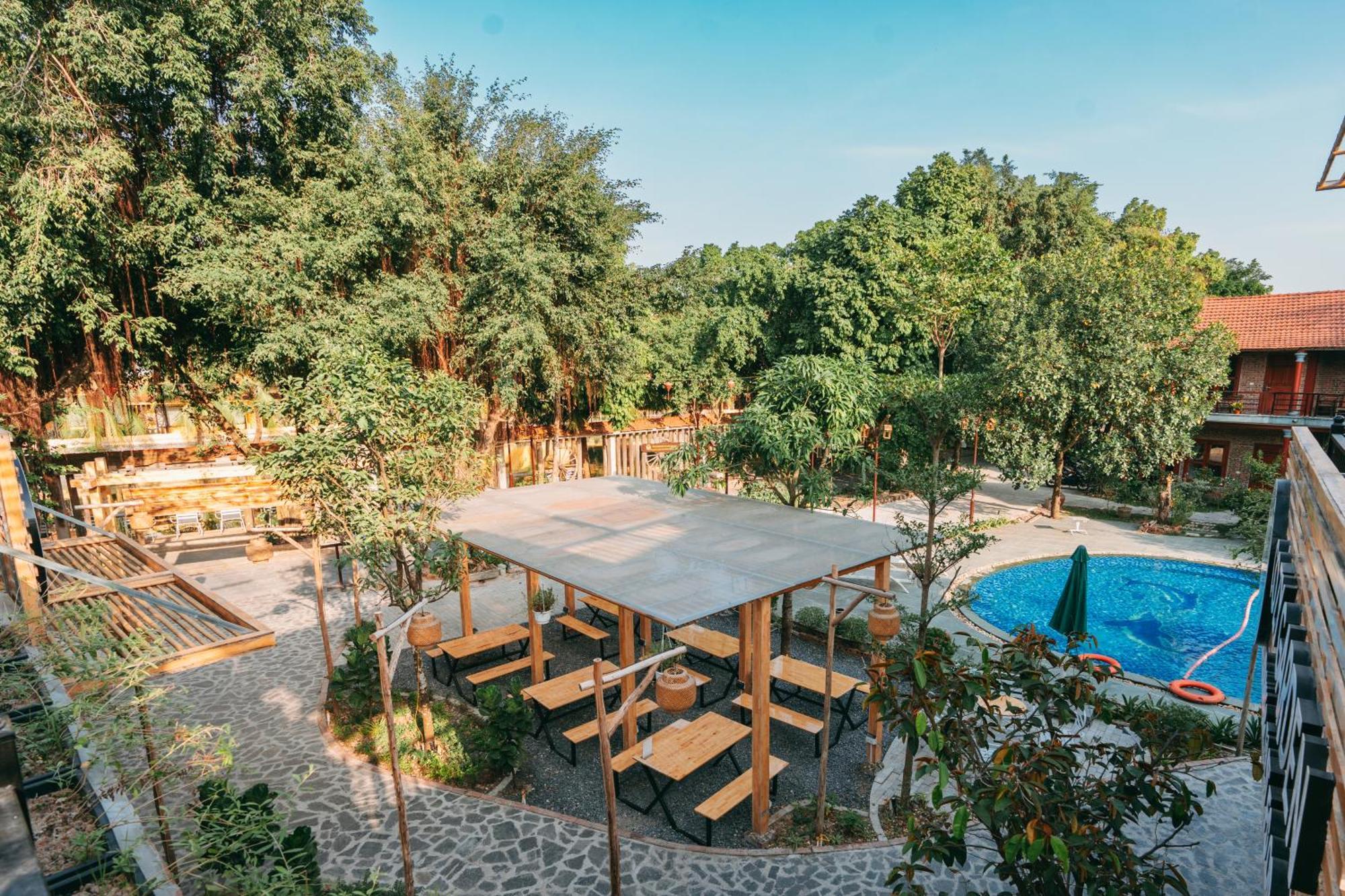 Tam Coc Lavender Homestay Ninh Binh Exterior foto